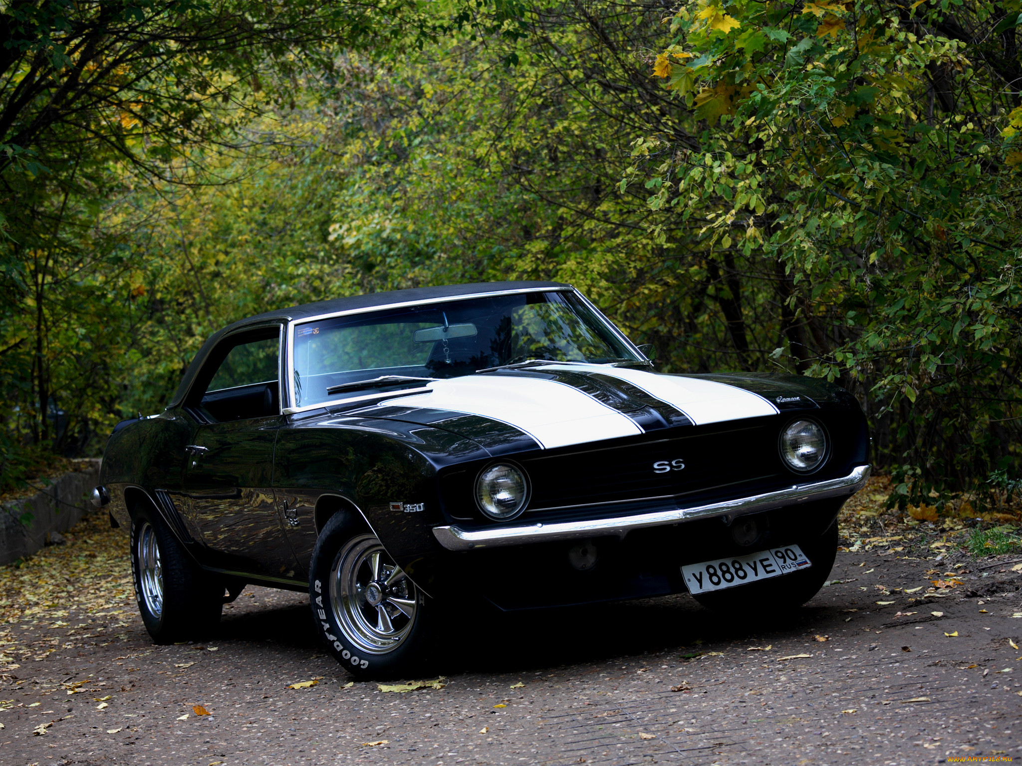 , camaro